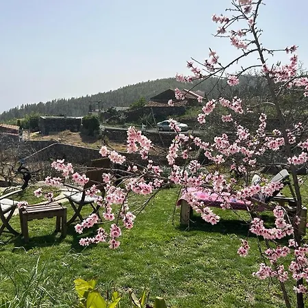 Lillys Maerchenhafte Rural Vakantiehuis Granadilla De Abona